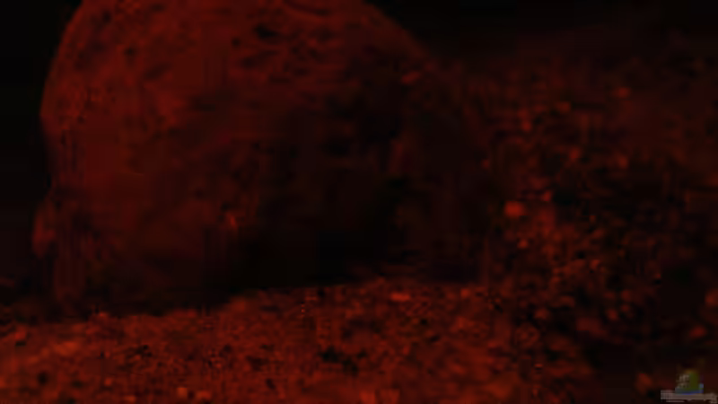 Stein am 15.06.2013 von Südamerikafreak BK (46)