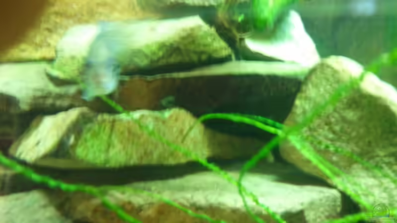 Stein aufbauten obererteil von relkov (5)