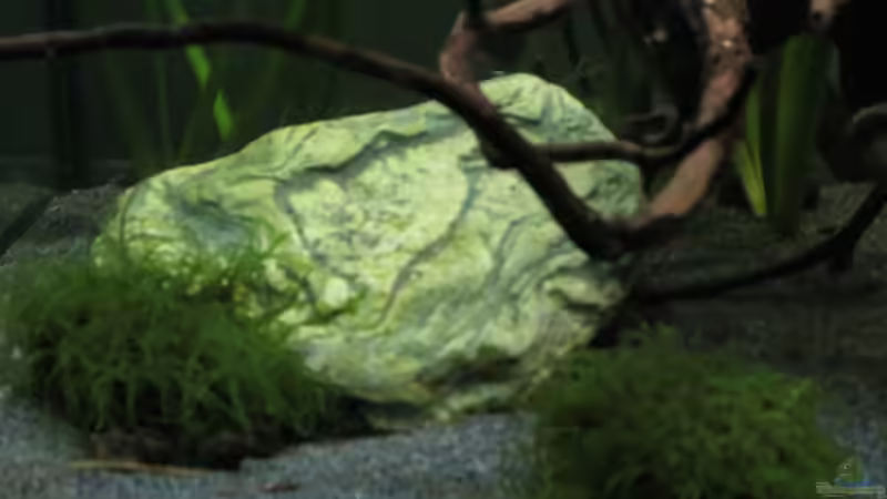 Stein aus Bergbach 06.08.2016 von Skalarjoe (15)