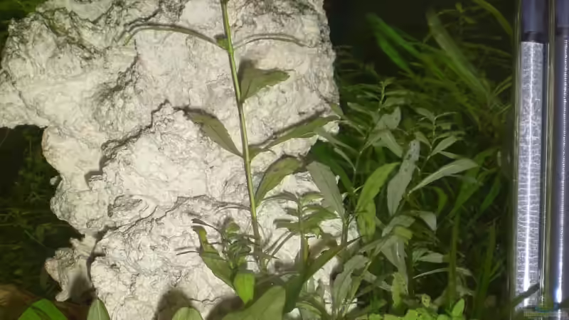 Stein ca. 20cm breit und ca.37cm hoch von EO (17)