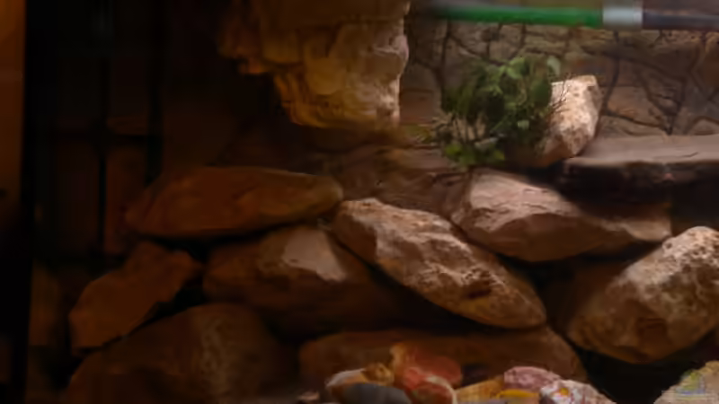 Stein hängend alt von Herki (14)