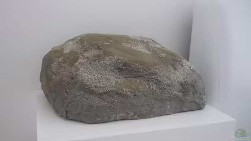 Stein im Eigenbau - siehe Blog von Chris_R. (27)