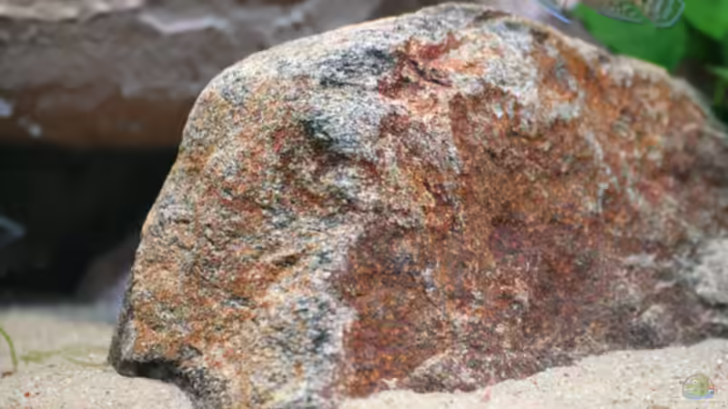 Stein in der Mitte von Bastian Otto (11)