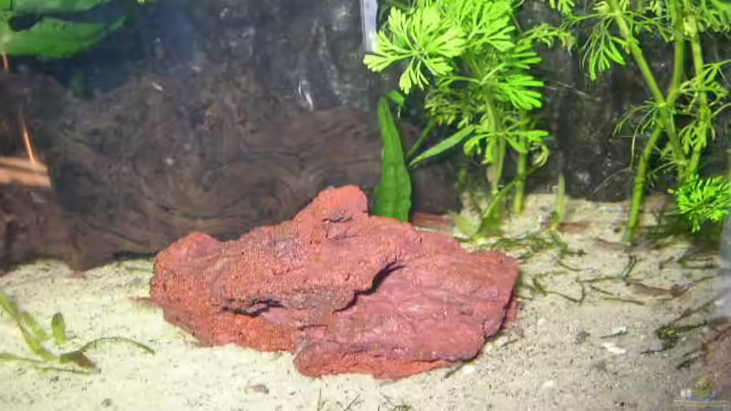 Stein in Sand von Graf (4)