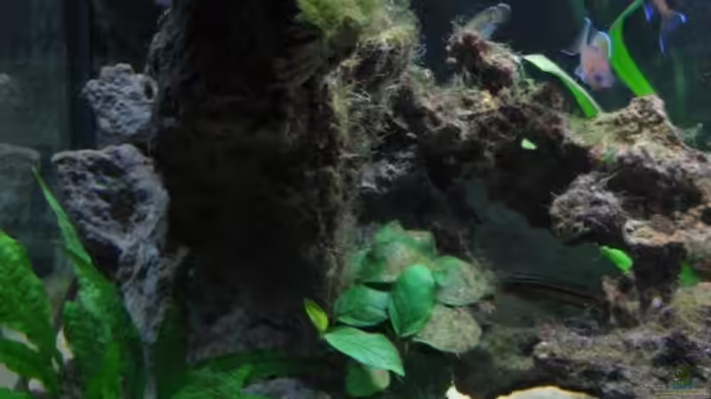 Stein links von Michael Häberle & Jane Lindenlaub (7)