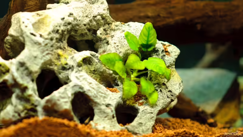 Stein-Nachbildung aus Polyrin von Daniel80 (11)