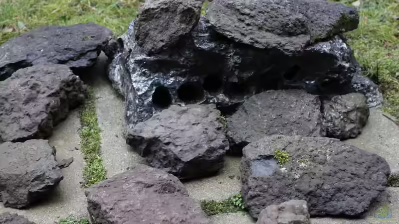 Stein Selektion von maxheadroom (47)