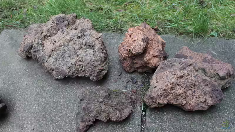 Stein Selektion von maxheadroom (51)