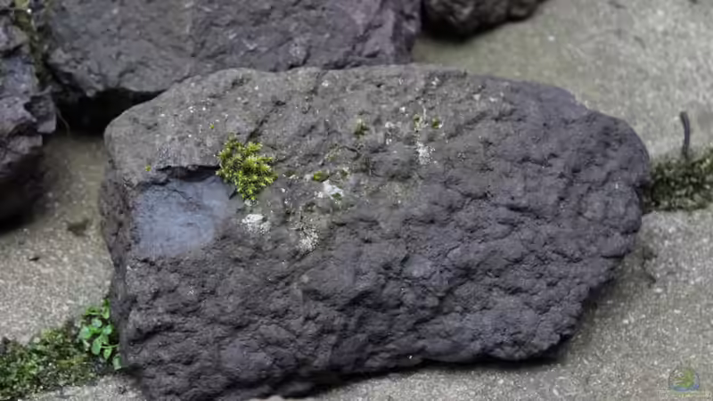 Stein Selektion von maxheadroom (52)