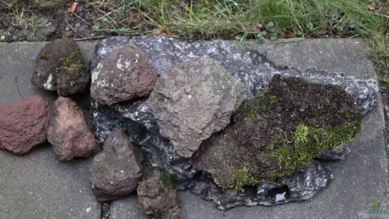 Stein Selektion von maxheadroom (53)