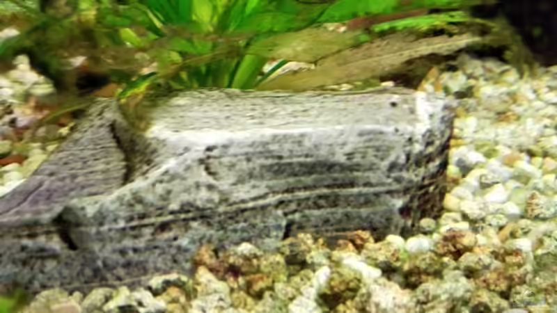 Stein von Matze2903 (5)