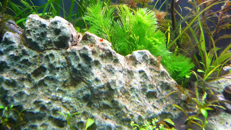 Stein von mike1963 (20)