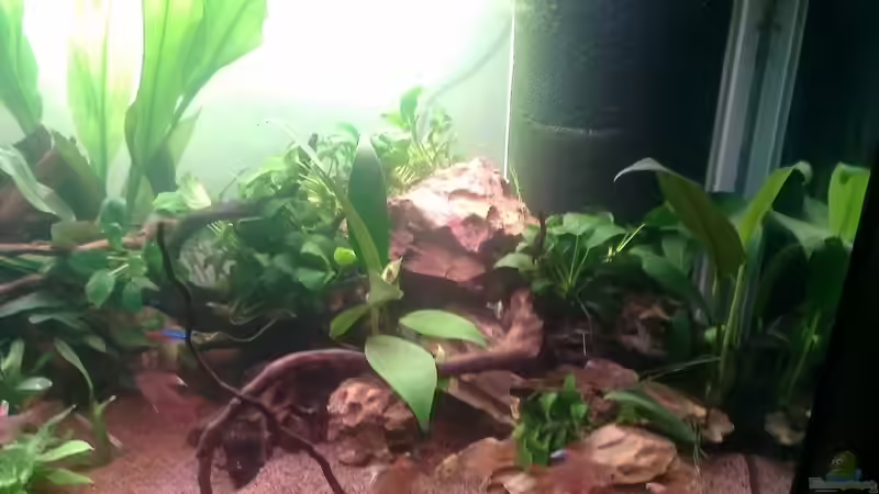 Steinaufbau aus Drachensteinen und Morkienwurzel von Der Sebastian (7)