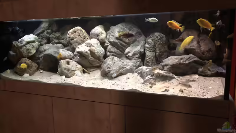 Steinaufbau erweitert 1 von Charmin (1)