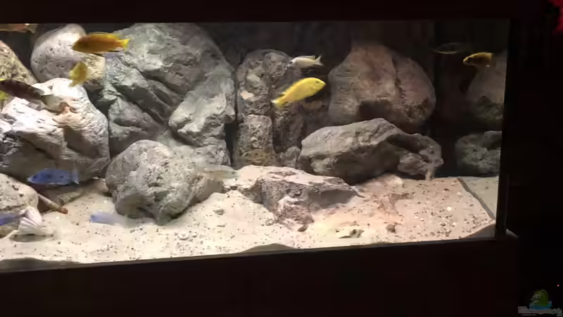 Steinaufbau erweitert 1 von Charmin (11)