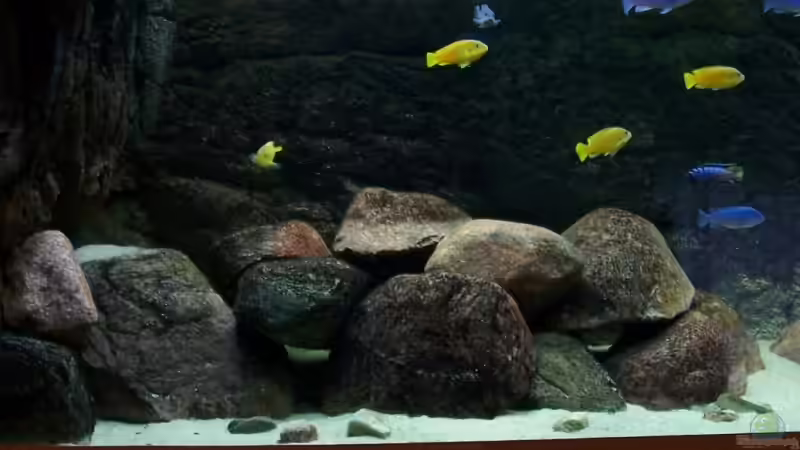 steinaufbau etwas geendert von Rene Sarink (13)