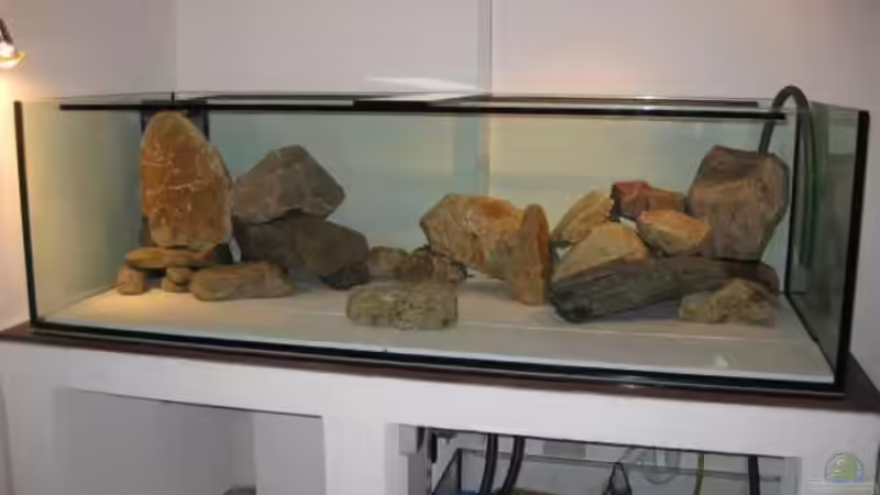 Steinaufbau Frontalansicht bei Ersteinrichtung 2009 von Oeli (27)