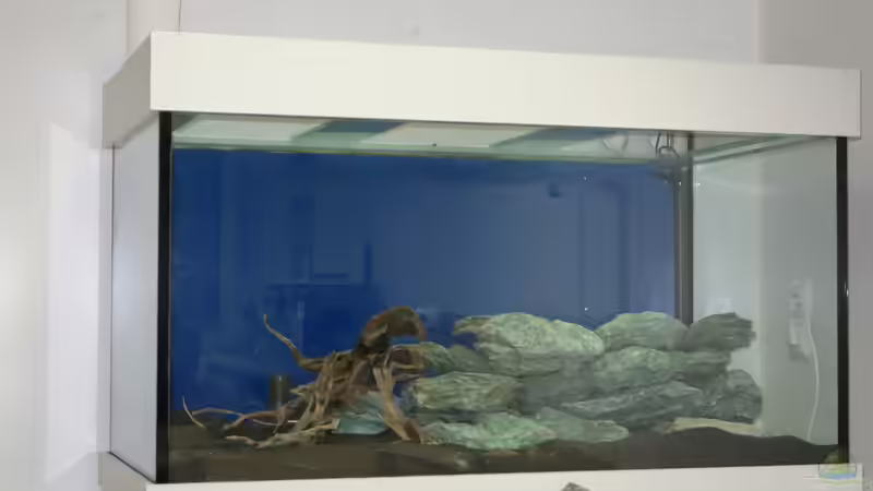 Steinaufbau im leeren Zustand von flaschenbauer (3)