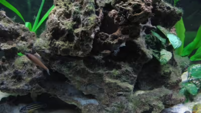 Steinaufbau in der Mitte von Michael Häberle & Jane Lindenlaub (8)