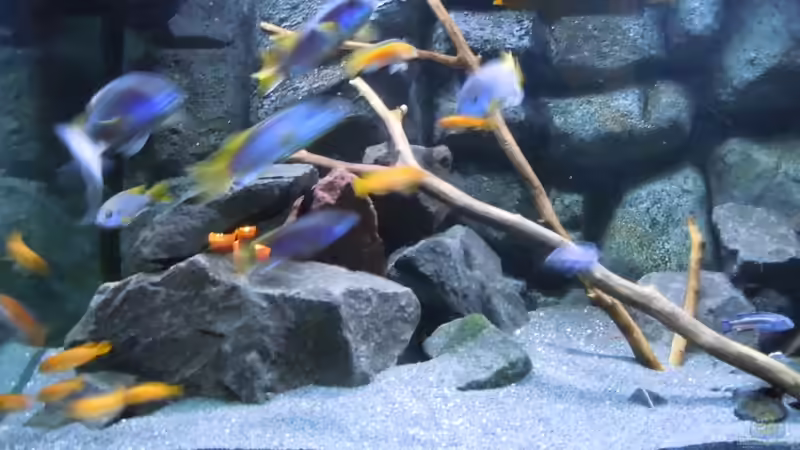 Steinaufbau linke Seite von Tim Mek (4)