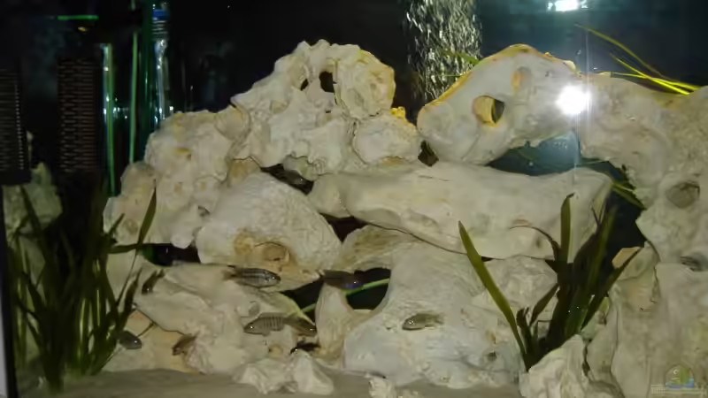 Steinaufbau Links mit Besatz von Steffen Helbig (2)