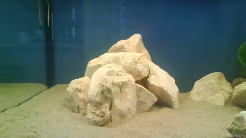 Steinaufbau links von Blubb Blubb (3)