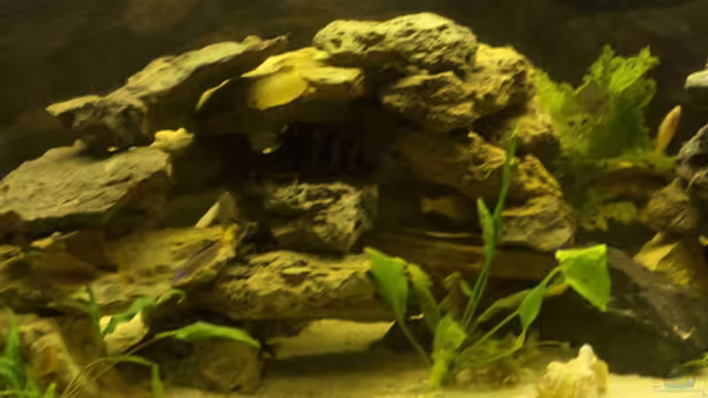 Steinaufbau mitte von Monika Thiele (18)