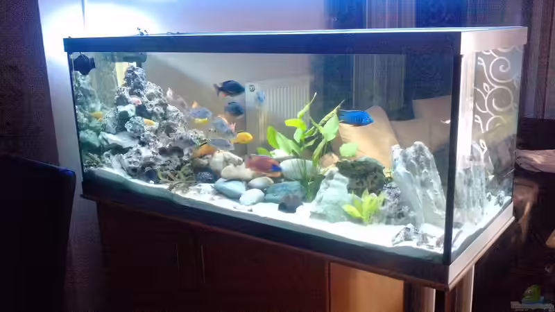 Steinaufbau mittig erweitert von Limbo (7)