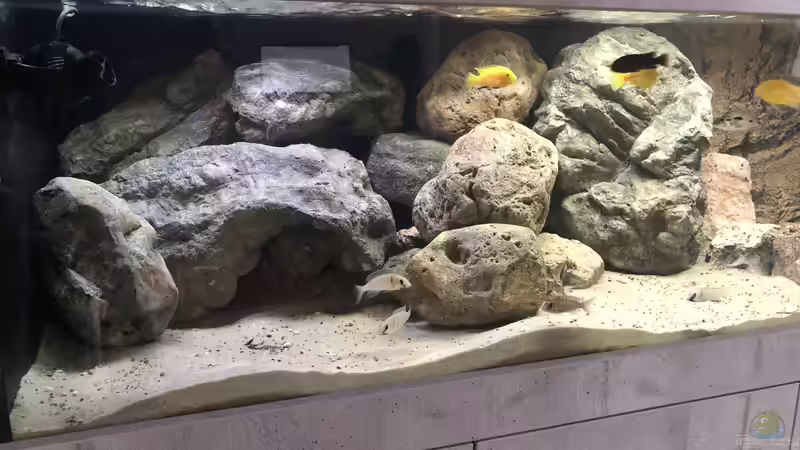 Steinaufbau Neu von Charmin (14)