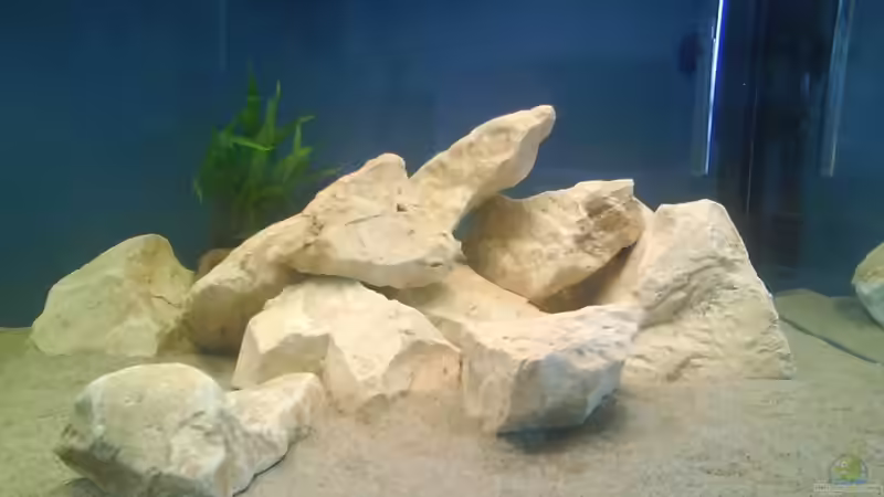 Steinaufbau rechts von Blubb Blubb (4)