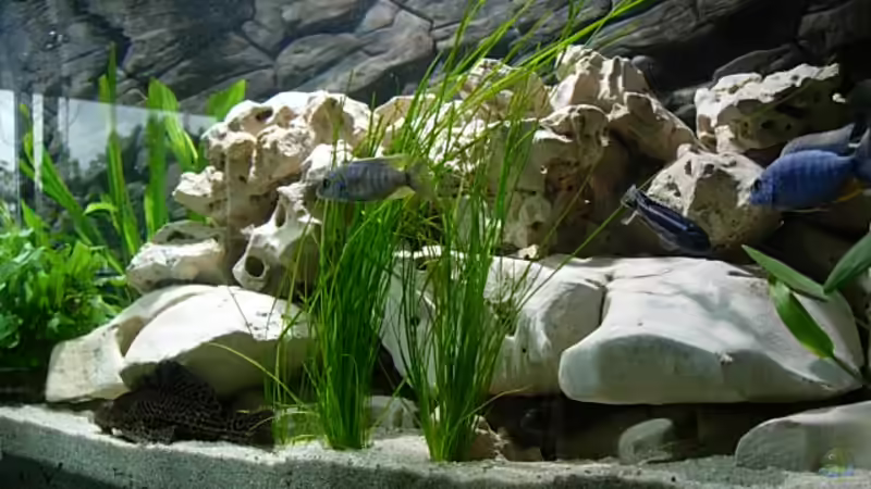 Steinaufbau rechts von Stefan Grabher (5)