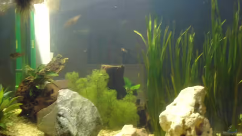 Steinaufbau und Mondgestein