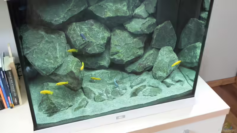 Steinaufbau von Bbert (10)