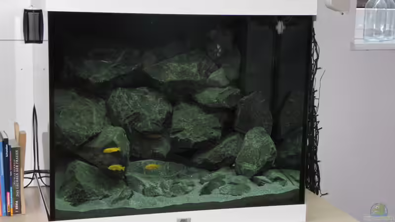 Steinaufbau von Bbert (11)