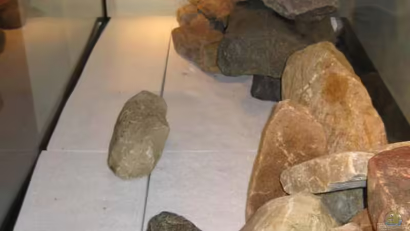 Steinaufbau von der Seite bei Ersteinrichtung 2009 von Oeli (26)