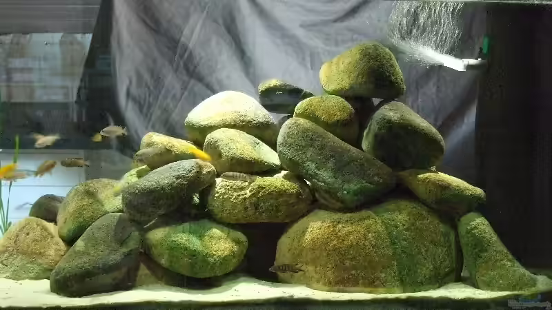 Steinaufbau von Hans Schmucker (3)