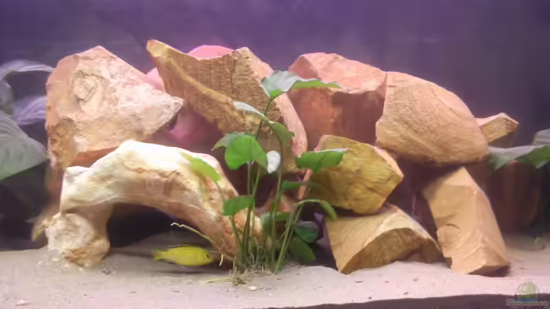 Steinaufbau von Martin Becker (5)