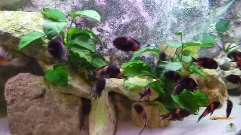 STEINAUFBAU von Matthias Müllich (4)