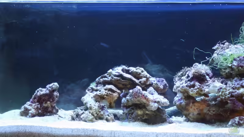 Steinaufbau von milestone (2)