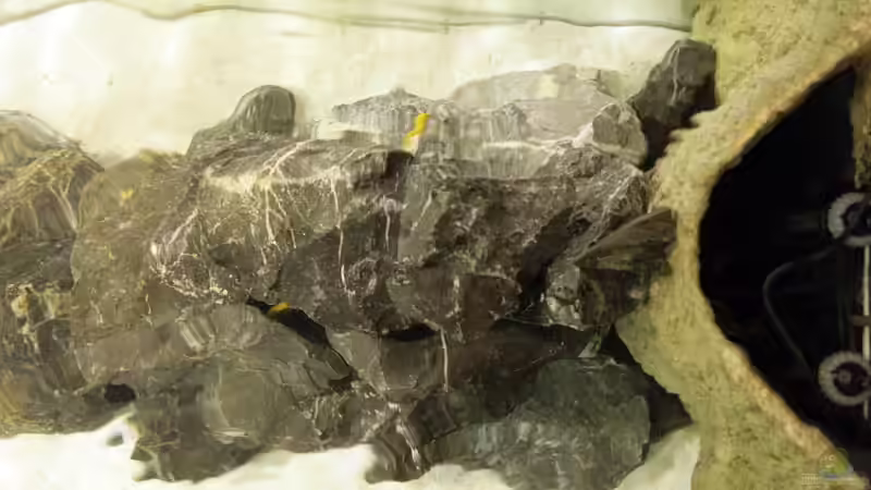 Steinaufbau von Oben - mit Rückzugsmöglichkeit von Ralf Bauer (17)