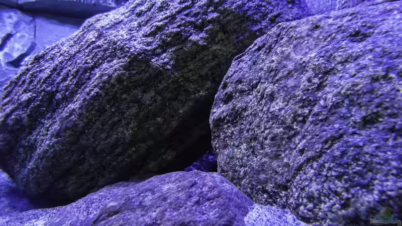 Steinaufbau von Okrim (17)