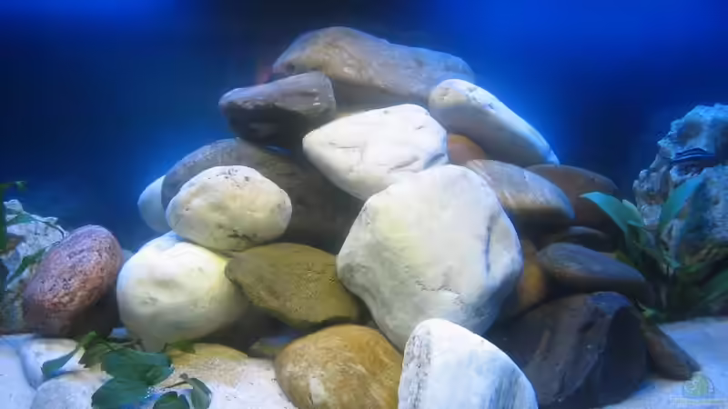 Steinaufbau von SideShowBob (3)