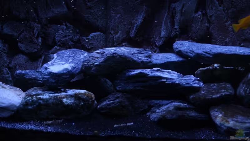 Steinaufbau von skipper1202 (3)