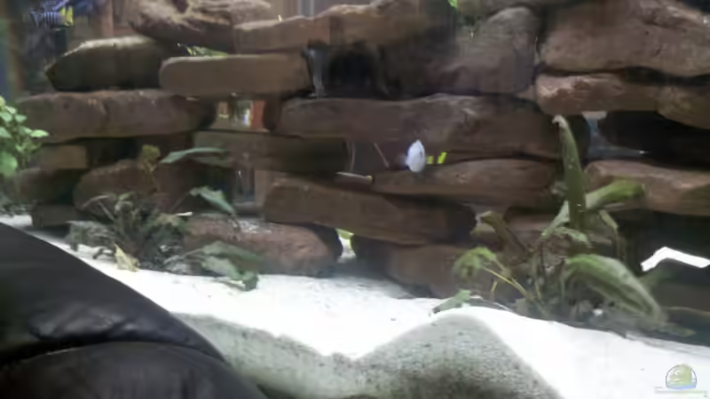 Steinaufbau von Tobias Seidel (2)