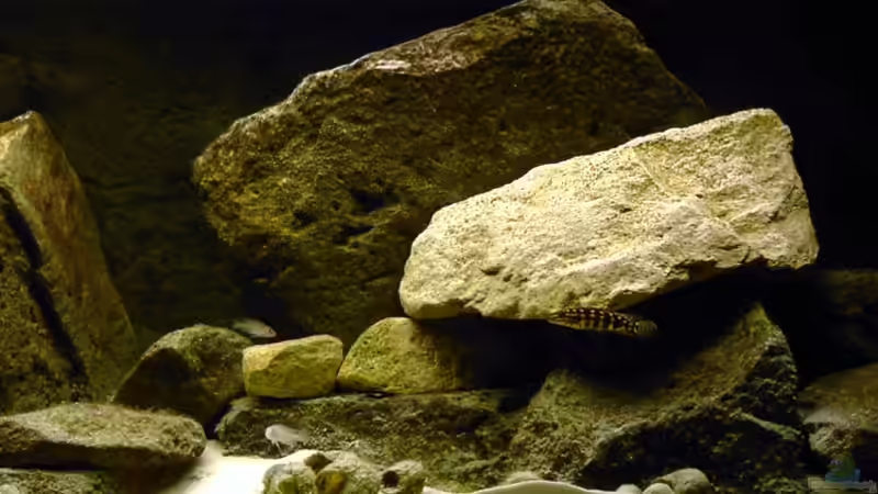 Steinaufbauten, rechts von Georg Botz (3)