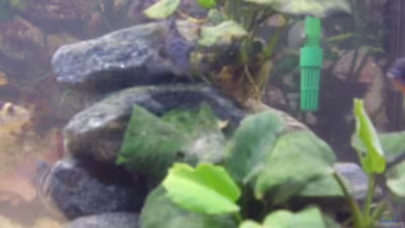 Steinaufbauten  von LaChica (12)