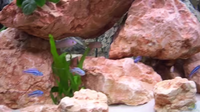 Steinaufbauten  von Samson (4)