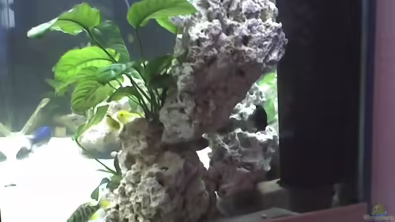 Steinaufbauten an der rechten Seite (57cm hoch) von Heiko Rodegast (14)