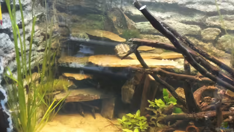 Steinaufbauten auf der linken Seite von Copplepot Lord (6)