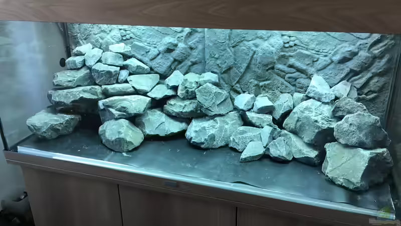 Steinaufbauten für Mbunas aus dem Malawisee - so planst du richtig